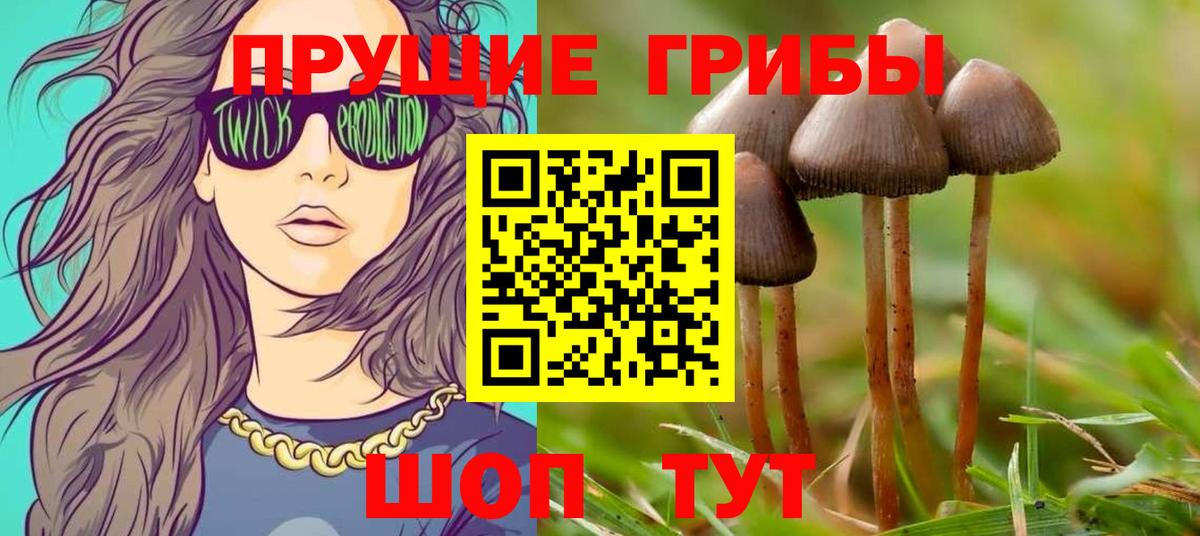Галлюциногенные грибы прущие грибы Киржач